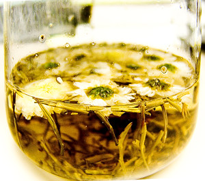Chrysanthemum with Green Tea